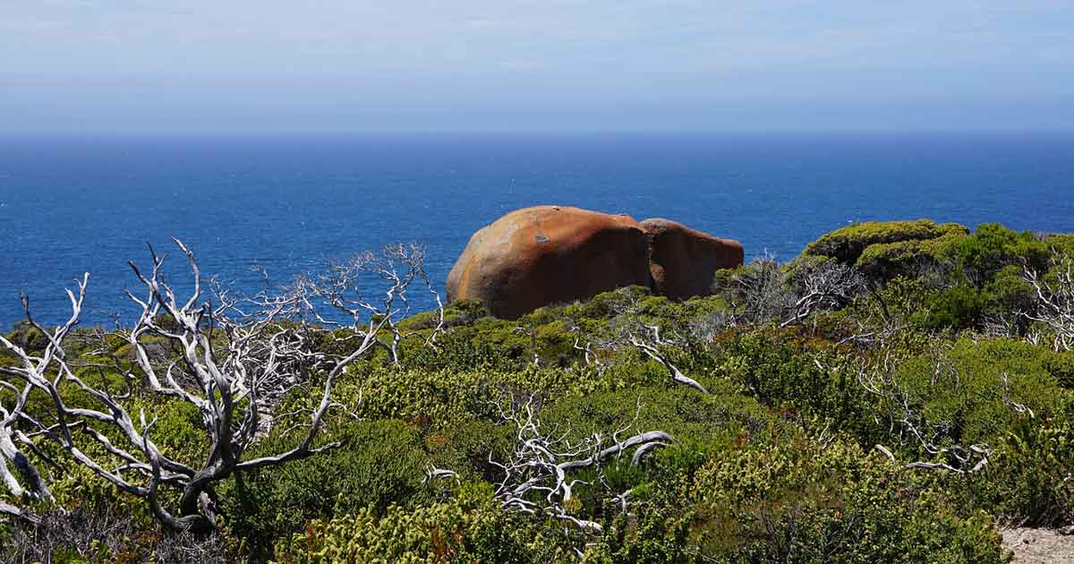 Kangaroo Island, Australia Meridionale