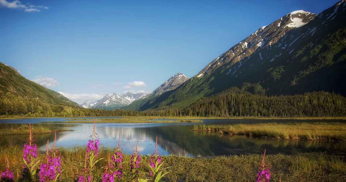 alaska-Parco-nazionale-Katmai alaska-Parco-nazionale-Katmai