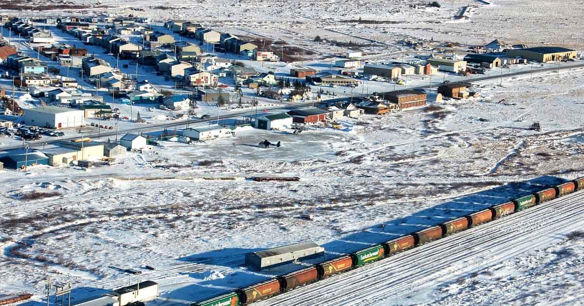 Churchill, la città degli orsi