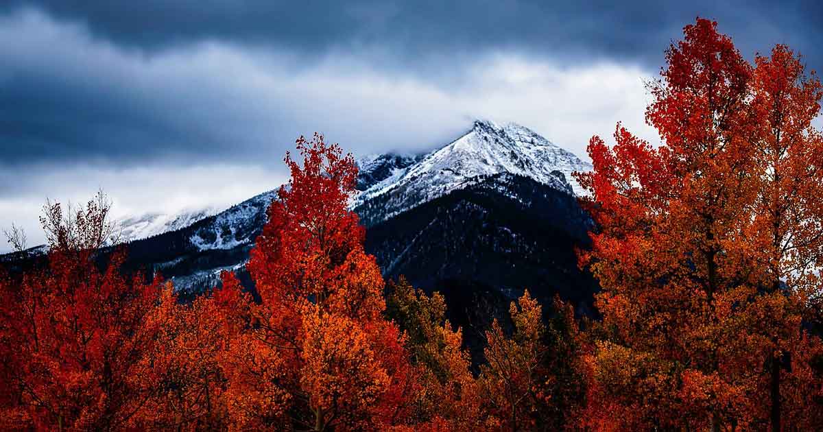 colorado-in-autunno colorado-in-autunno